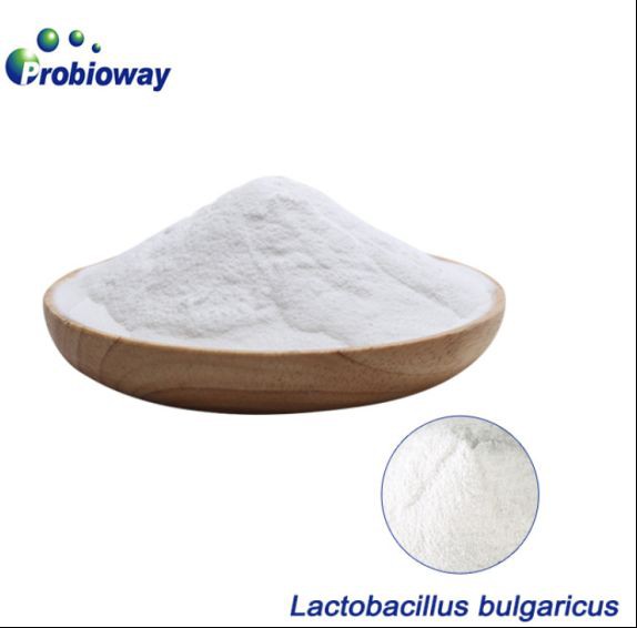 Sedikit probiotik sehari untuk mencegah gastritis kronik