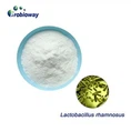 Serbuk L.rhamnosus