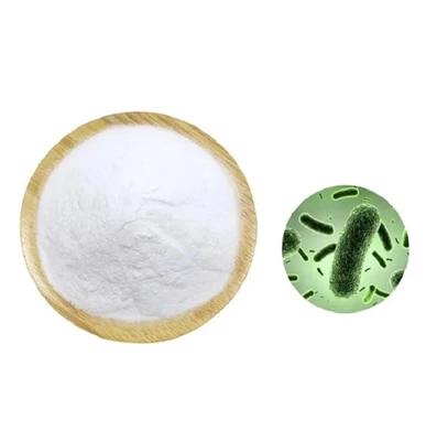 Apakah Serbuk Lactobacillus Acidophilus?